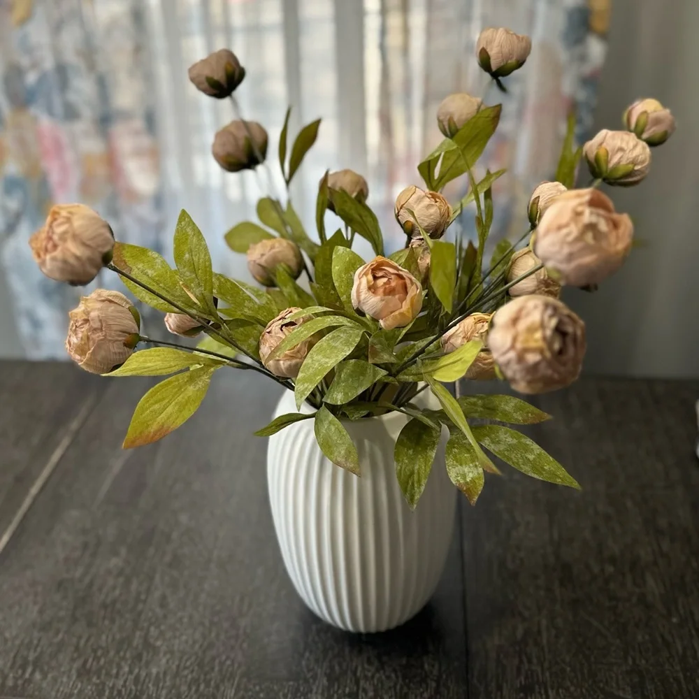 5 Tan Peony Stems by Ashland